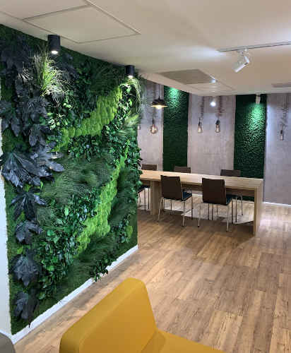 Preserved Green Walls